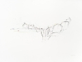 sans titre, 2011, crayon de couleur et mine de plomb sur papier, 56 x 76 cm