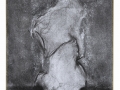 de possibles métamorphoses (collection cheongju museum of art, cheongju, corée du sud), 2022, crayon gris, mine de plomb et fusain sur papier japonais, 33 x 24 cm