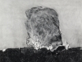sans titre, série de possibles métamorphoses, 2023, crayon gris, mine de plomb et fusain sur papier arches, 164 x 130 cm