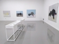 Exposition collective "Sillage", Musée d'art, Cheongju (Corée du Sud), 2019
