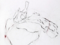 sans titre, 2006, pastel gras, mine de plomb, crayon et huile sur papier, 172 x 145 cm