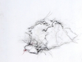 sans titre, 2005, pastel gras, mine de plomb, crayon et huile sur papier, 172 x 145 cm
