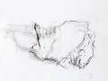 sans titre, 2005, pastel gras, mine de plomb, crayon et huile sur papier, 172 x 145 cm