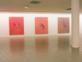 Exposition "làça", Médiathèque Marguerite Yourcenar, Faches-Thumesnil, 2000